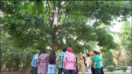 Taarak Mehta Ka Ooltah Chashmah - 29th December 2025